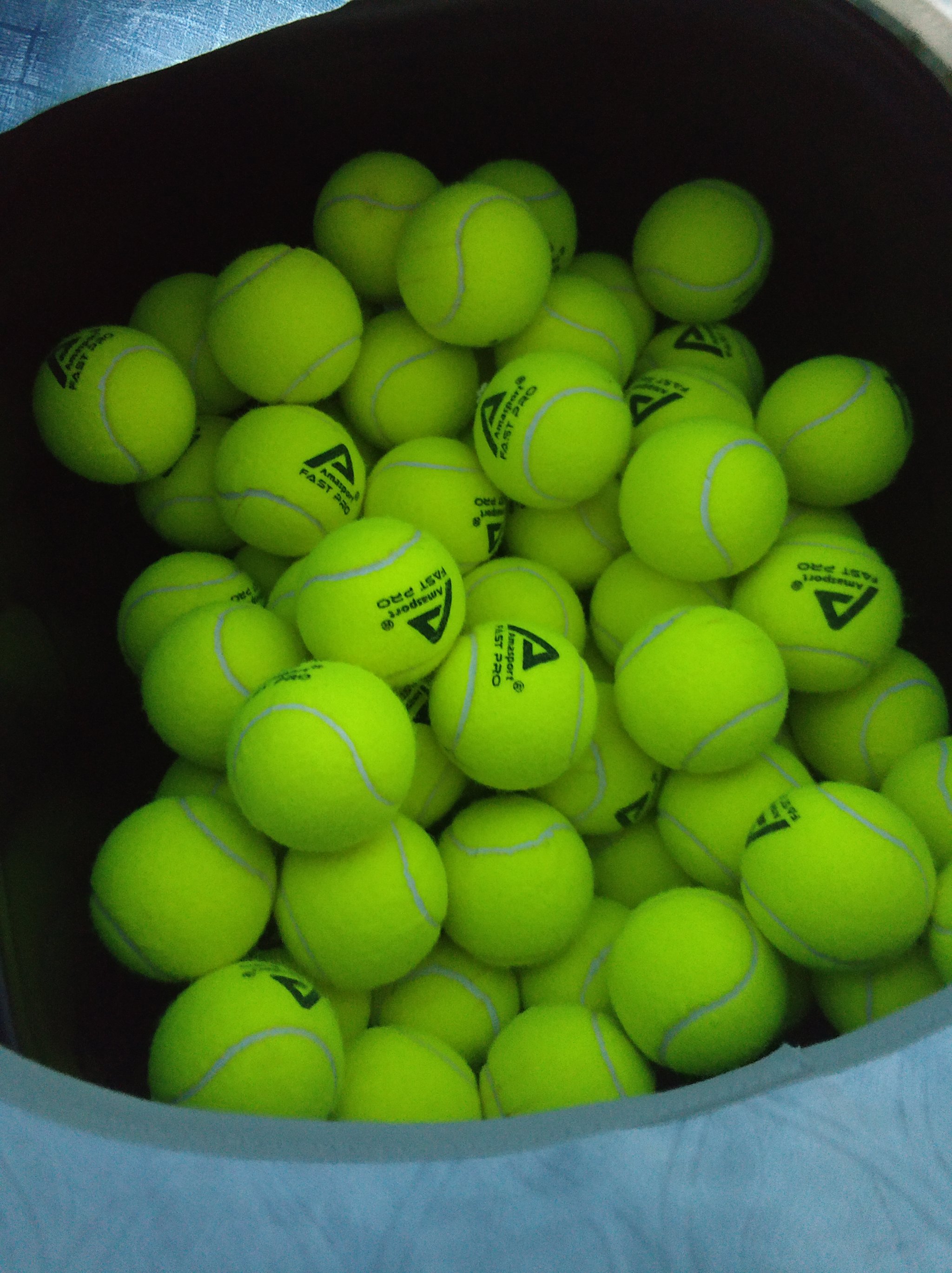 巴萨在门将 巴萨在门将